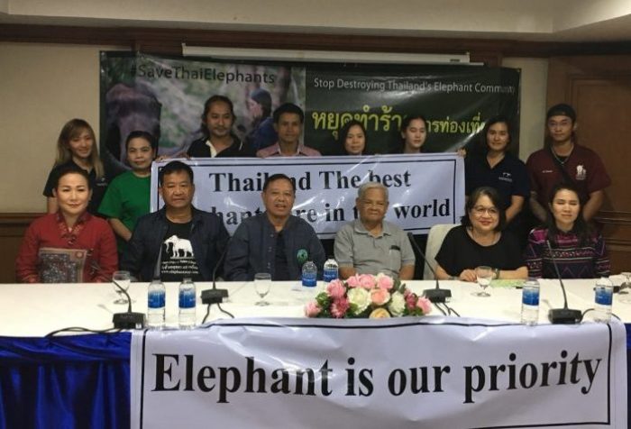Betreiber von thailändischen Elefantencamps werfen ausländische Medien eine verzerrte Berichterstattung vor und drohen mit rechtlichen Schritten. Foto: National News Bureau of Thailand.
