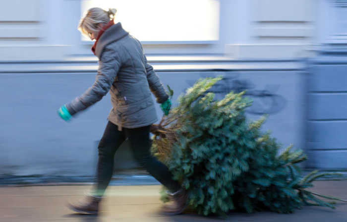 Eine Frau zieht einen Weihnachtsbaum über einen Bürgersteig. Foto: Friso Gentsch/Dpa