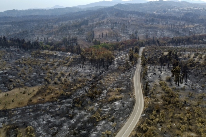 Luftaufnahme eines niedergebrannten Waldes im Dorf Agia Anna auf der Insel Euböa. In Griechenland hat sich die Lage bei den Großbränden leicht entspannt. Foto: Michael Varaklas/Ap/dpa
