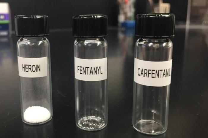 Das Foto verdeutlicht die tödliche Dosis von Heroin, Fentanyl und Carfentanyl. Foto: Clewiston Police Department