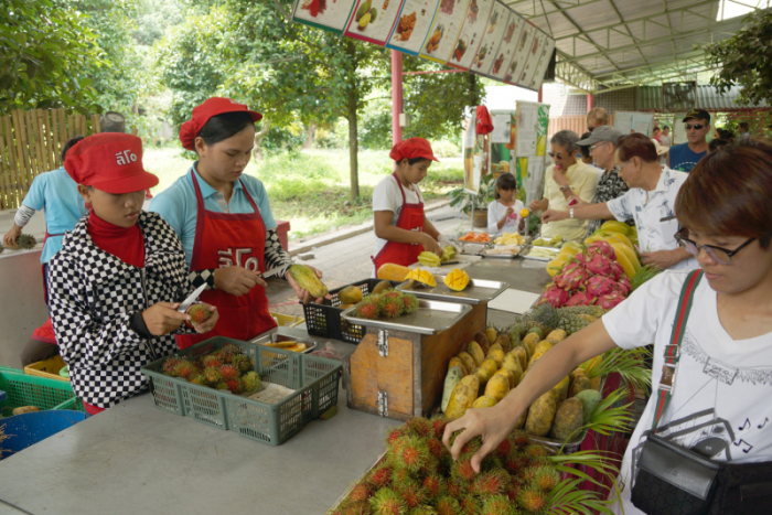 Im Supphatra Land können die Besucher alle tropischen Früchte probieren, die an der Ostküste herrlich gedeihen. Fotos: Jahner