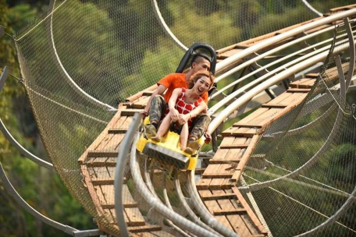 Foto: Pongyang Zipline & Jungle Roller Coaster