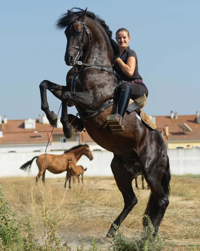 Die deutsche Stierkämpferin Clara Kreutter hoch zu Ross in Portugal. Kreutter ist die erste deutsche Profi-Stierkämpferin. Foto: Privat/Pedro Guimaraes/dpa