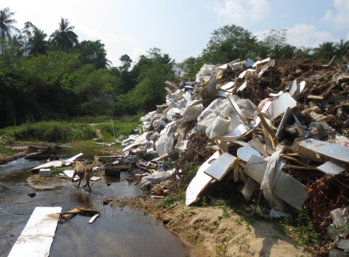 Die Müllproblematik auf der Deponie bei Hua Thanon schlägt sich längst auch im täglichen Straßenbild nieder. Vor allem Thailänder werfen Müllsäcke oft achtlos in die Natur oder an den Fahrbahnrand. Fotos: Sam Gruber
