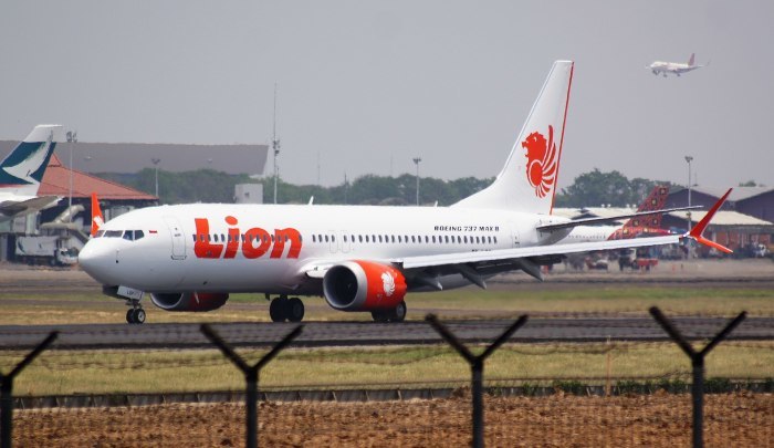Das Foto zeigt die Unglücksmaschine der Lion Air des Typs Boeing 737 Max 8, die am 29. Oktober 2018 in Indonesien abgestürzt war. Foto: PK-REN / Wikimedia