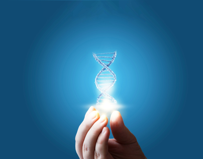 Bei einer genomischen Profilerstellung werden sämtliche Gene einer Person analysiert. Foto: GettyImages