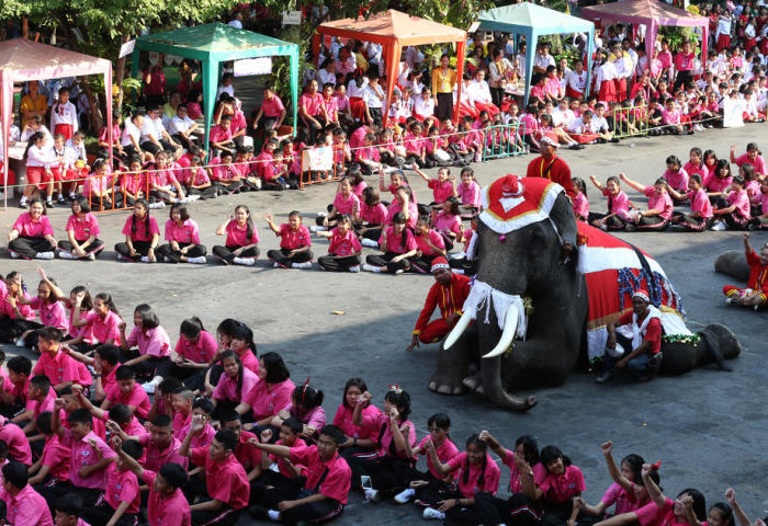 Seit 15 Jahren sind Elefanten der traditionelle Höhepunkt der Weihnachtsfeier der Jirasartwitthaya School in Ayutthaya. Foto: epa/Narong Sangnak