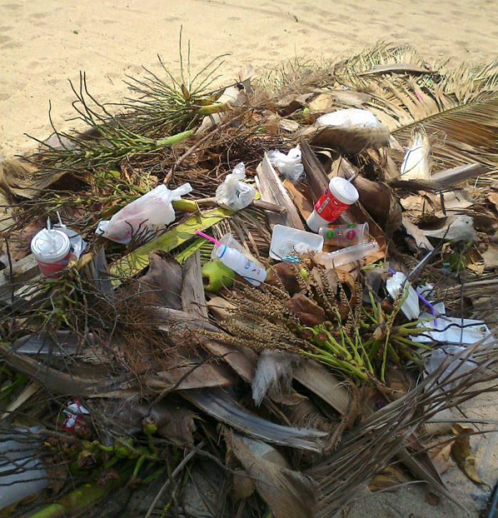 Wilde Müllkippe am Dongtan-Strand