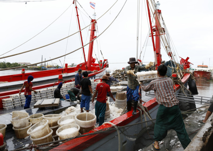 Mit dem Projekt soll auch die Gesamtzahl der Fischerboote verringert werden. Foto: epa/Rungroj Yongrit