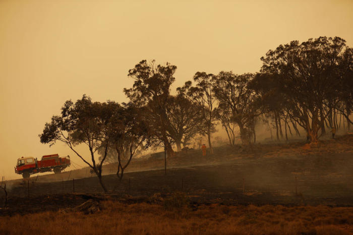 Buschbrände in Australien. Foto: epa/Sean Davey