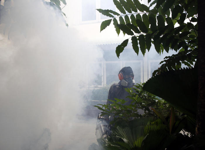 Vier neue Denguefieber-Fälle im Süden der Stadt haben die Gesundheitsbehörden dazu veranlasst, mit dem Versprühen von Chemikalien die Brutstätten von Stechmücken zu vernichten. Foto: epa/Narong Sangnak