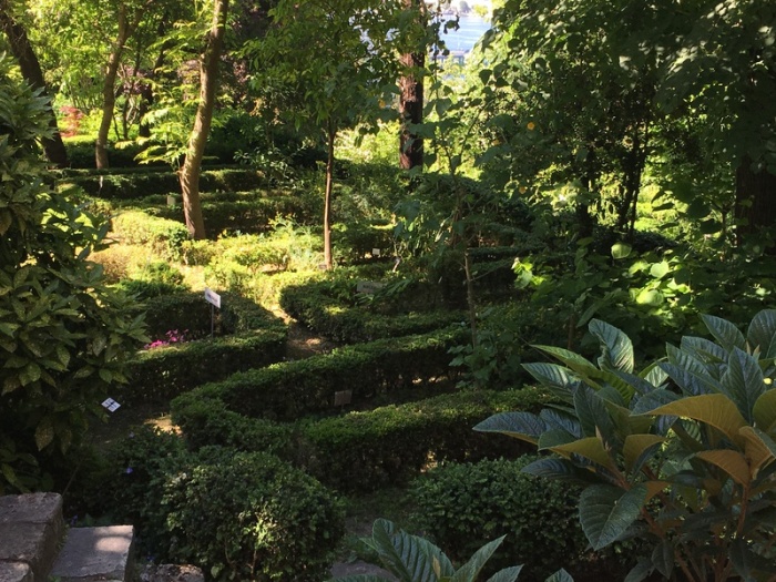Blick auf eine alte Gartenparzelle im Botanischen Garten. Der erste Botanische Garten der Türkei ist nun geschlossen - und wird in Teilen möglicherweise zerstört. Foto: Christine-Felice Röhrs/Dpa