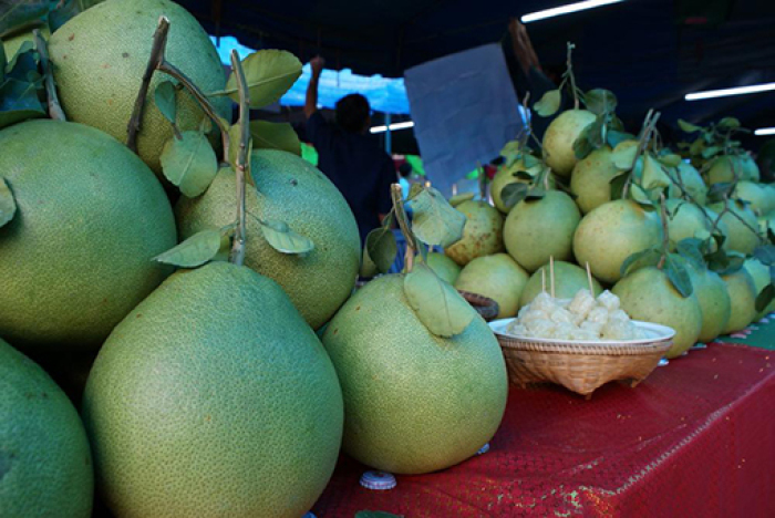 Die Khao-Yai-Pomelo wird für ihren unverwechselbaren Geschmack geschätzt. Foto: TAT
