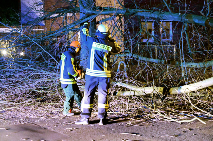 Feuerwehrleute zerlegen mit Kettensägen einen Baum, der am Sonntagabend auf eine Straße gestürzt war. Ausläufer des Orkantiefs «Victoria» sind am Sonntag mit schweren Sturmböen über NRW gefegt. Foto: Alexander Forstreuter/-/dpa