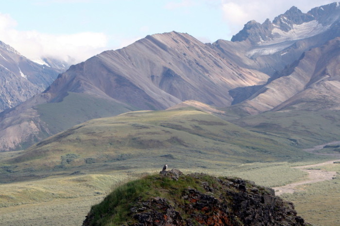 Die Maschine stürzte im Denali National Park in Alaska ab. Foto: epa/Gary Kemper