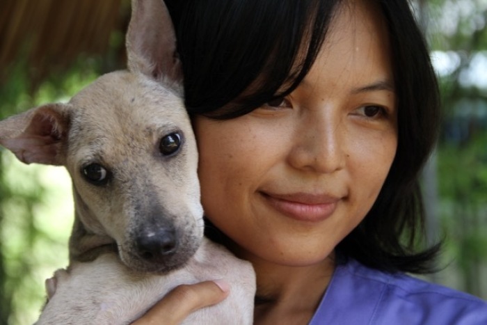 In der Provinz Phuket und in Bangkok bietet die Soi Dog Foundation medizinische Notfallhilfe für Straßentiere an.  Foto: Soi Dog Foundation