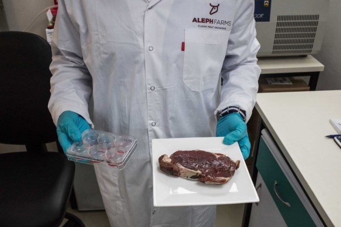 Der Startup-Gründer Didier Toubia hält eine Petrischale und ein Teller mit einem Steak in seinen Händen. Foto: Ilia Yechimovich/-/dpa