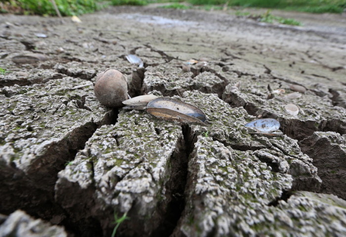 Foto: epa/Narong Sangnak