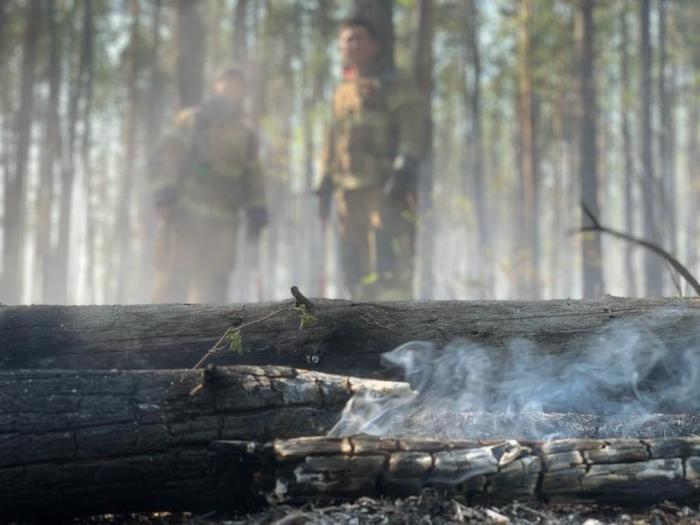 Natürliche Brände. Foto: epa/Emercom Of Russia Press Service