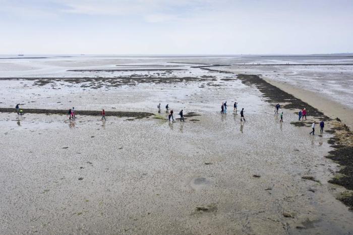 Wanderer nehmen bei Ebbe an einer Wattwanderung auf dem Wattenmeer nahe der Insel Terschelling teil. Foto: epa/Sem Van Der Wal