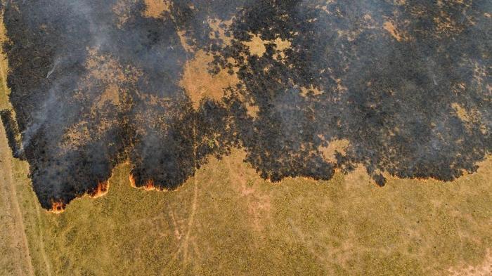 Gesamtansicht eines von Bränden betroffenen Gebiets im Pantanal-Feuchtgebiet im Bundesstaat Mato Grosso. Foto: epa/Rogerio Florentino