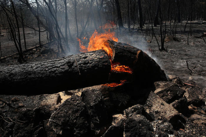 Ein Baum brennt noch immer in dem verbrannten Wald in der Gegend von Varybobi in der Nähe von Athen. Foto: epa/Orestis Panagiotou