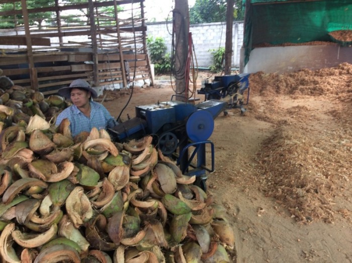 Mit dem riesigen Schredder lassen sich die Schalen der Kokosnüsse effizient mahlen. Das gibt gutes organisches Material für unsere selber gemischte Pflanzenerde.  Fotos: hf