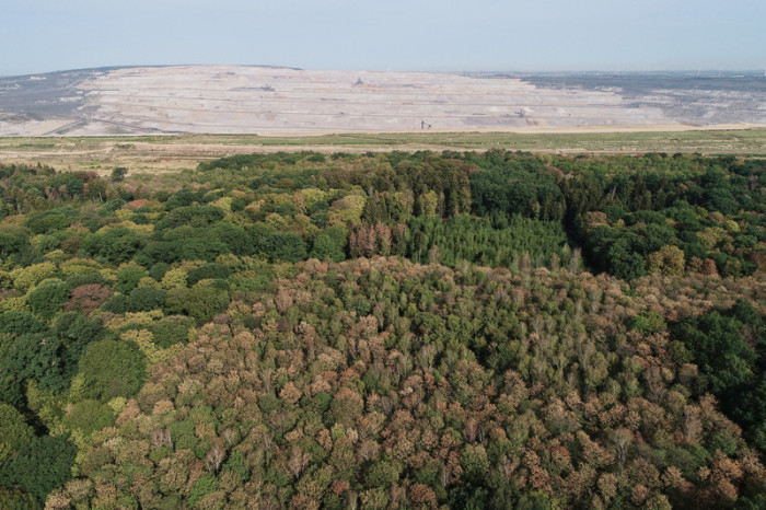 Eine mit einer Drohne erstellte Luftaufnahme zeigt den Braunkohletagebau Hambach (hinten) und den Hambacher Forst (vorn). Foto: Henning Kaiser/Dpa