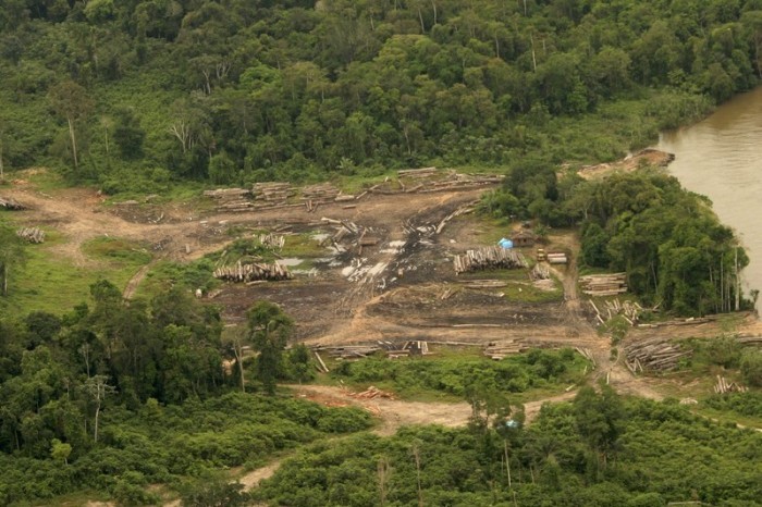illegale Abholzung im Amazonasgebiet. Archivfoto: epa/Alberto Cezar Araujo