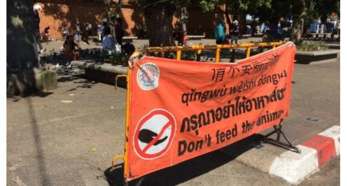 Ein Plakat informiert über das Taubenfütterverbot. Foto: The Nation