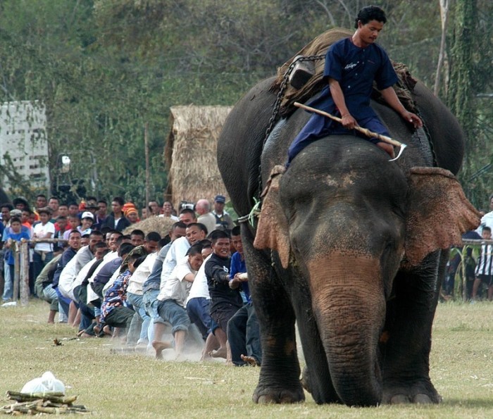 Foto: epa/Udo Weitz