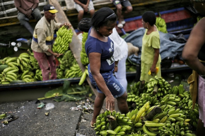 Eine Frau begutachtet Bananen auf einem Markt in einer ländlichen Region Kolumbiens. Foto: Alvaro Tavera/Colprensa/dpa