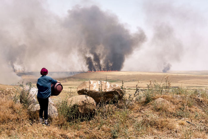 Die undatierte, von kurdischen Aktivisten des Rojava Information Centers herausgegebene, Aufnahme zeigt eine Frau, die brennende Felder in der Region Dschasira beobachtet. Foto: -/Rojava Information Center/dpa