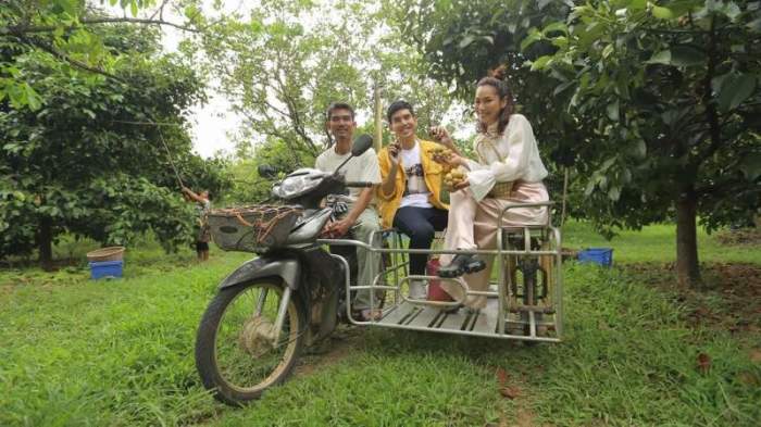 Mit dem Saleng, einem Motorrad mit Beiwagen, geht es auf Entdeckungstour durch die Obstplantagen der „Patthawi Organic Orchard Group“. Vitamine naschen inklusive! Foto: Ratthai Pongsak