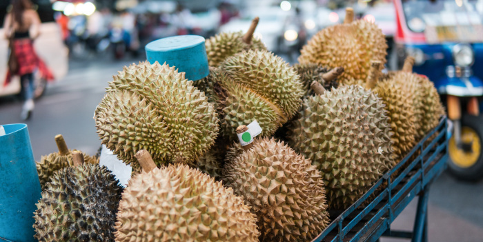 Der seit Jahren vergleichsweise hohe Durian-Preis macht die Frucht bei den Anbauern beliebt. Besonders die Nachfrage auf dem chinesischen Markt ist unersättlich. Foto: contentdealer/Adobe Stock