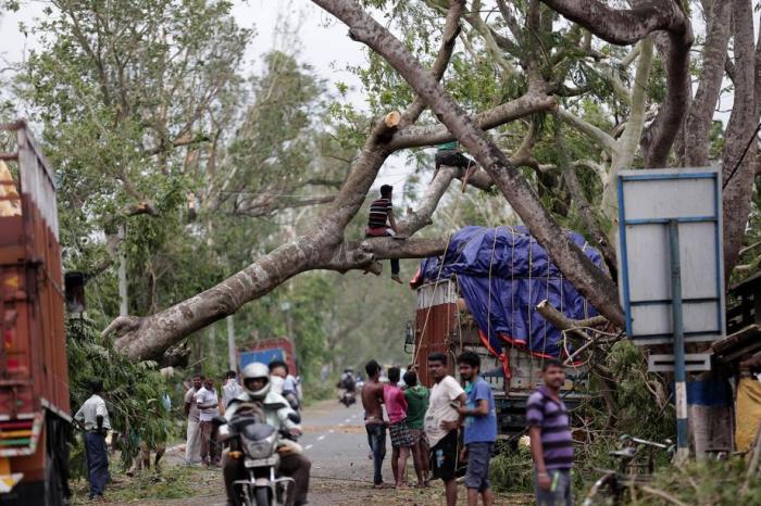Ein entwurzelter Baum fiel auf einen Lastwagen, nachdem der Zyklon Amphan im Dorf Bokkhali in der Nähe des Golfs von Bengalen wütete. Foto: epa/PIYAL ADHIKARY