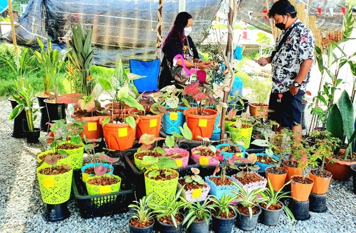 Im zweiten Corona-Jahr herrscht stets lebhaftes Treiben auf Nord-Pattayas Blumenmarkt. Viele Menschen haben in der Pandemie ihren grünen Daumen entdeckt. Fotos: Jahner
