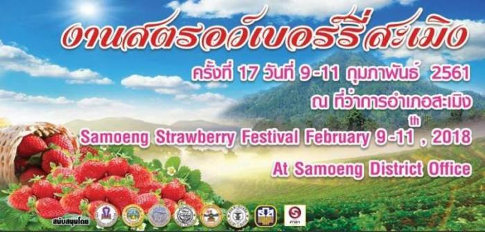 Erdbeerfestival in Samoeng