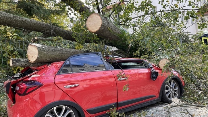 Ein durch Sturmböen umgeknickter Baum ist auf ein Auto gefallen. Der Herbststurm hat auch Sachsen am Donnerstag fest im Griff. Foto: Danilo Dittrich/dpa-zentralbild/dpa