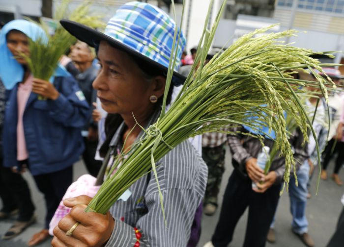 Überschuldeter Reisbauer sucht den Freitod