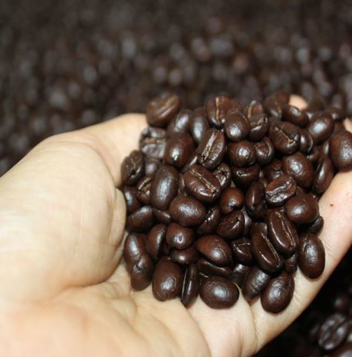 Von der Plantage direkt in die Rösterei: In Hua Hin werden die rohen Bohnen zu Premium-Kaffee veredelt. 