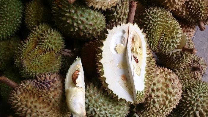 Auf den Märkten der Touristenmetropole gibt es derzeit Durian in Hülle und Fülle. Foto: Jahner