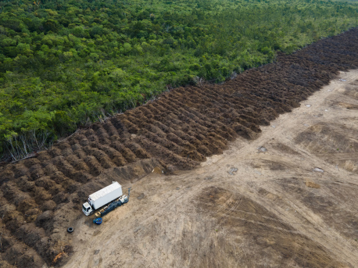 Ein Lastwagen steht in einem abgeholzten Gebiet des Amazonas. Klar ist: weitermachen wie bisher geht nicht. Foto: Fernando Souza/Zuma Press Wire/dpa