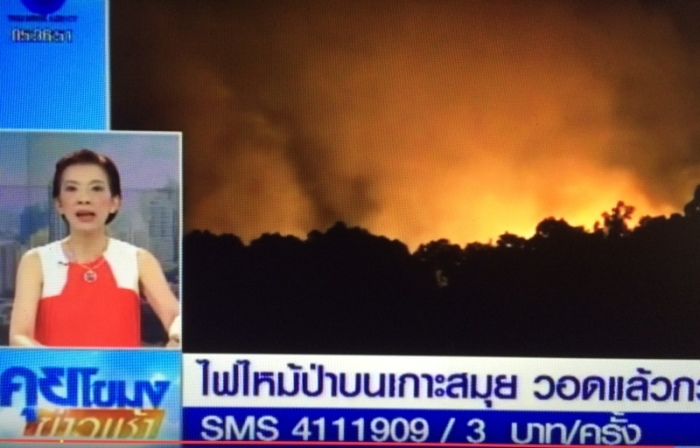 Bericht des thailändischen Fernsehsenders ‚Thai News Agency‘ über den gestrigen Großbrand bei Maenam: 60 Rai Land wurden laut Polizeiangaben vernichtet. 