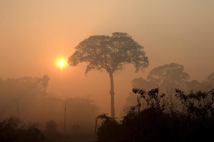 Blick auf den Rauch und Staub, den die Brände im Amazonas-Regenwald hinterlassen haben. Archivfoto: epa/Joedson Alves