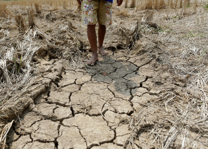 Mehrere Provinzen im thailändischen Nordosten leiden unter extremen Wassermangel. Foto: epa/ Rungroj yongrit