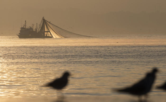 Türkischer Fischkutter schleppt bei Sonnenaufgang in Istanbul ein Netz am Bosporus. Archivfoto: epa/TOLGA BOZOGLU