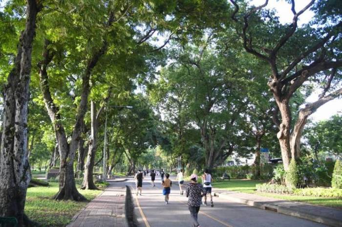 Bei der Bevölkerung sind die Parkanlagen Bangkoks besonders zum Trainieren der Fitness beliebt. Im Bild der Lumpini-Park. Foto: The Nation