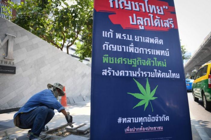 Bhumjaithai-Wahlplakat in Bangkok. Sie umwarb ihre Wählerschaft mit der Legalisierung von Marihuana in Thailand. Foto: The Straits Times/ANN