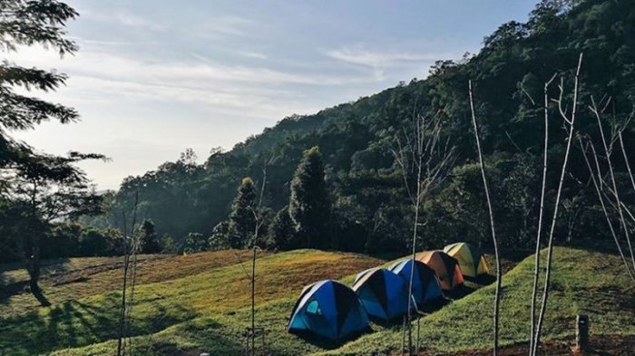 Im Nationalpark Doi Fha Hom Pok wurden zwei neue Campingplätze eröffnet. Foto: asia.one.com